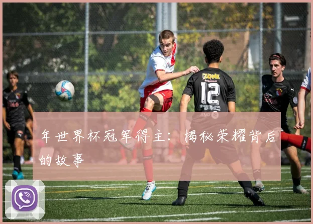 年世界杯冠军得主：揭秘荣耀背后的故事