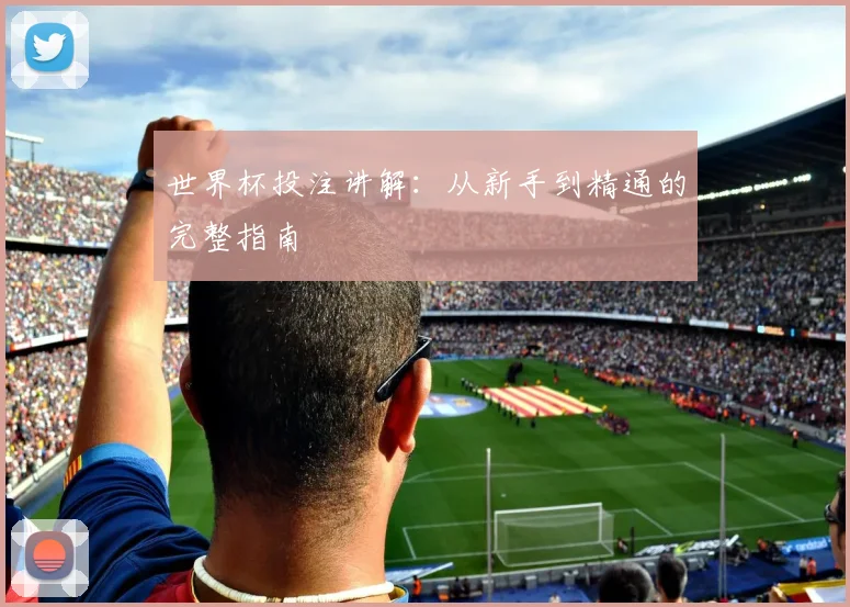 世界杯投注讲解:从新手到精通的完整指南