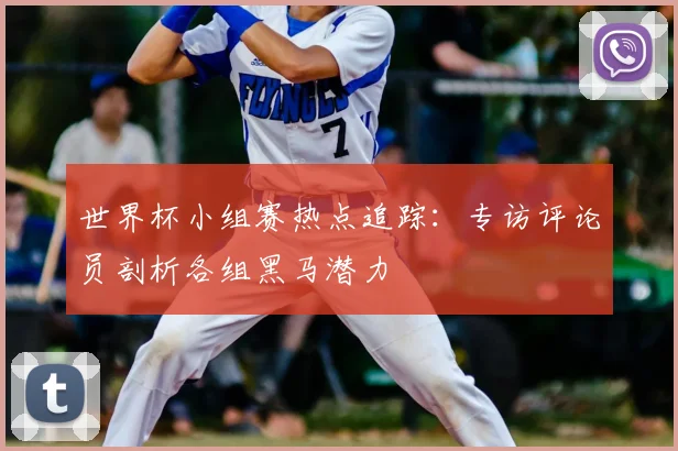 世界杯小组赛热点追踪:专访评论员剖析各组黑马潜力