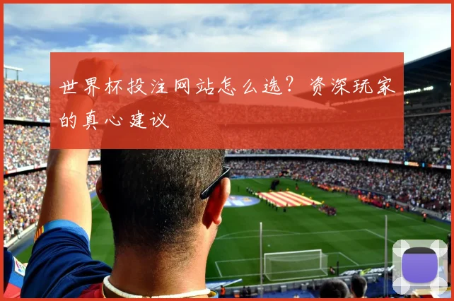 世界杯投注网站怎么选?资深玩家的真心建议